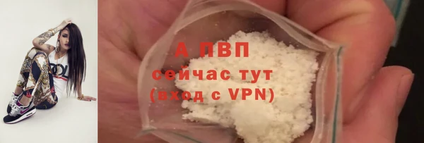первитин Богданович