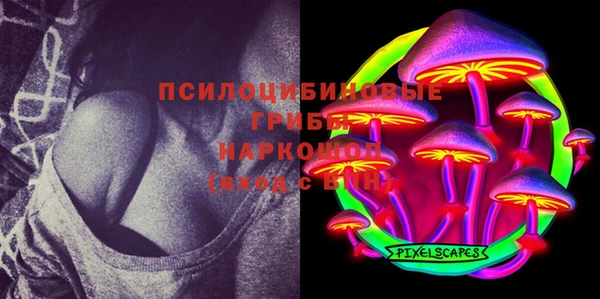 круглые Богородицк