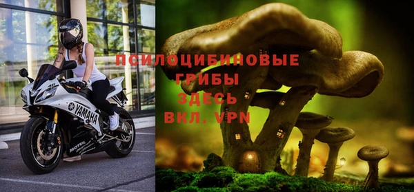 первитин Богданович