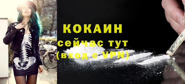 первитин Богданович