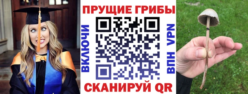 Псилоцибиновые грибы мухоморы Невель