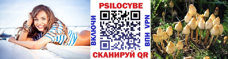 где продают наркотики  Невель  Псилоцибиновые грибы Magic Shrooms 